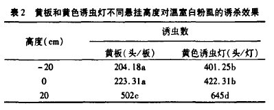表2 黃板和黃色誘蟲燈不同懸掛高度對溫宣白粉虱的誘殺效果