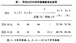 表1 兩種幻燈對兩種盲蜻象誘殺效果