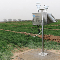 農(nóng)作物病害(赤霉病、晚疫病)實(shí)時(shí)監(jiān)測(cè)預(yù)警儀 YBQ