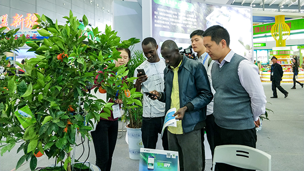 r(nng)ͼg(sh)ɹõˬF(xin)(chng)L͵P(gun)עcڴ