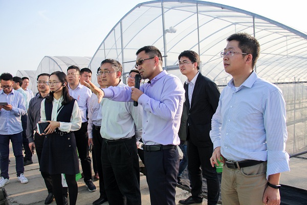 王主任一行關(guān)注托普云農(nóng)智能標(biāo)準(zhǔn)化產(chǎn)品:棚聯(lián)網(wǎng)