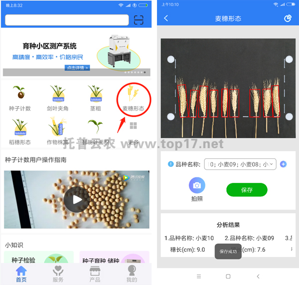 麥穗形態測量儀