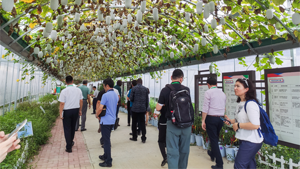 FһԔ˽┵rIQ;wóЧ