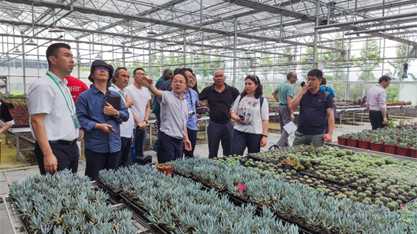 FһԔ˽┵rIQ;wóЧ