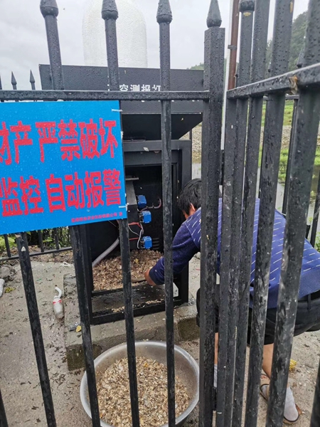 機(jī)器誘捕烘干后的蟲體(部分)