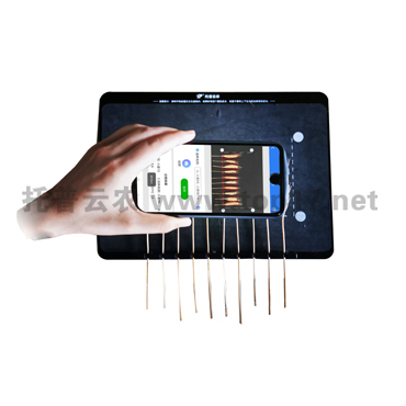 麥穗形態測量儀