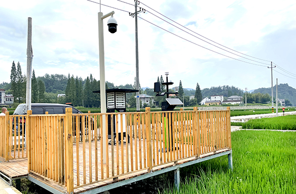 R̫(zhn)(sh)ֻߘ(bio)(zhn)r(nng)D