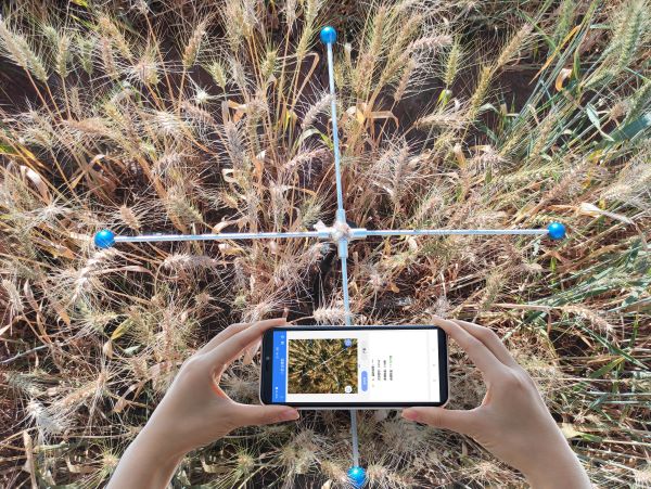 小麥畝穗數測量系統