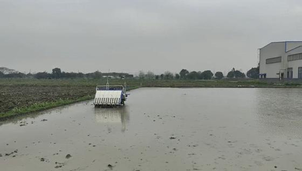 無人駕駛插秧機