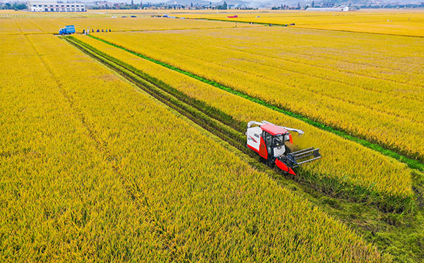 ִ(sh)r(nng)I(y)ĿO(sh)Ч