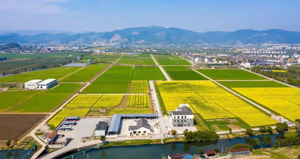 ?jn)?sh)ִr(nng)C(j)ҕNֲϢܻ