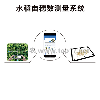 水稻畝穗數(shù)測量系統(tǒng) TPDS-1/TPDS-2