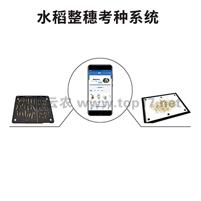 水稻整穗考種儀 TPDS-X-1 plus