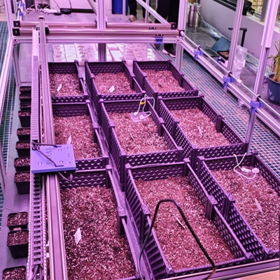 ҃(ni)NȰl(f)ͱO(jin)yϵy(tng) TPN-SeedPhy